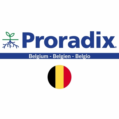 Proradix Belgio