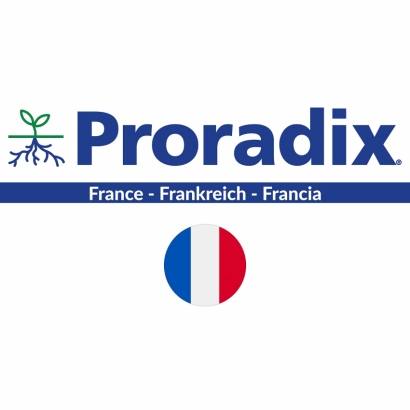 Proradix Francia