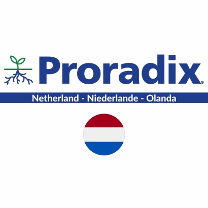 Proradix Olanda