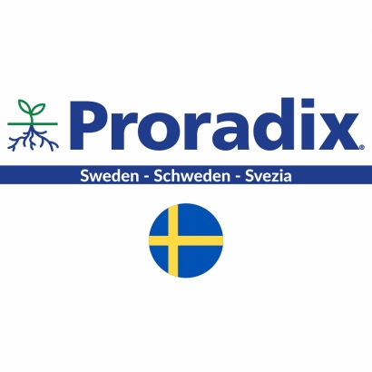 Proradix Svezia